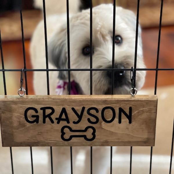 Dog Crate Name Plate Etsy