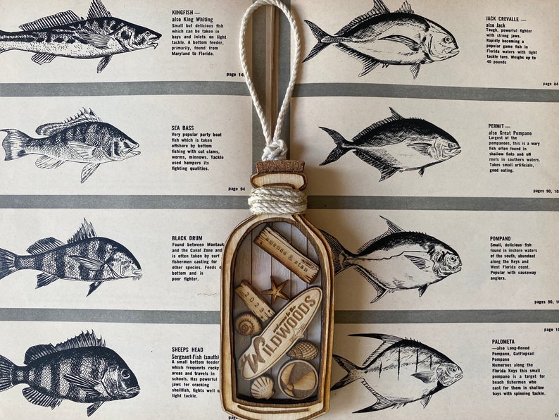 May include: A wooden ornament shaped like a bottle with a cork top and a rope tied around the neck. The bottle is filled with seashells, a starfish, and a wooden sign that says "Wildwoods".