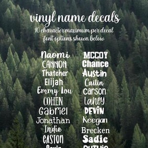 Glossy Vinyl Name Decal *10 Character Maximum Please*
