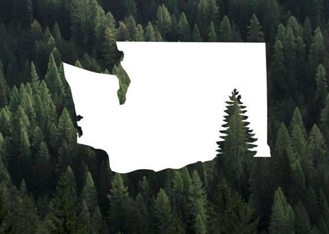 Oregon Evergreen Tree Coche, Ventana, Computadora Portátil, Calcomanía