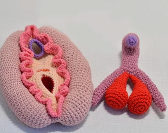 Crochet Vulva Clitoris Set, Dockable Reproductive System, Educational Toy