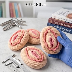 Può includere: Quattro modelli anatomici all'uncinetto del sistema riproduttivo femminile in filato beige e rosa. Gli oggetti misurano 15 per 11 cm come indicato dal calibro e dal righello. Il testo recita EDUCATIONAL AID FOR GYNECOLOGISTS e SIZE: 15*11 cm.