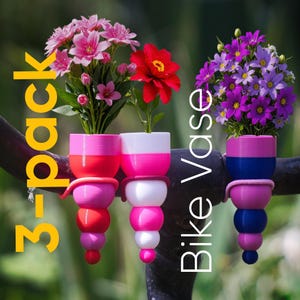 Può includere: Un set di tre vasi da bici, ognuno con fiori colorati. I vasi sono rosa, rossi, bianchi e blu, con un design a strati unico. Il testo "3-pack Bike Vase" è visibile nell'immagine.