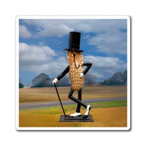 Mr Peanut Statue - Etsy
