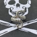 see more listings in the Pirate themed items section