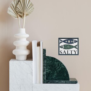 May include: A framed print with a blue and green illustration of two fish and the word "SALTY" in black text.