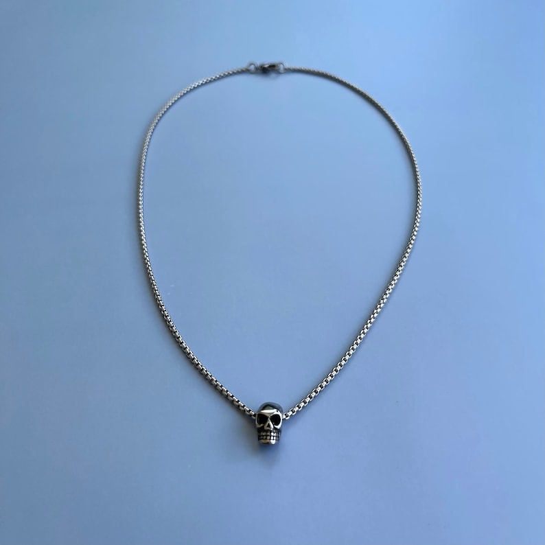 Puede incluir: Un collar de cadena de plata con un peque&ntilde;o colgante de calavera de plata.