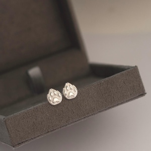 Dog Paw Earrings, Custom Pet Earrings, Dog Mom Gift, Pet Lover Jewelry, Animal Paw Studs, Pet Remembrance, Paw stud