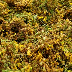 Organic St. John&#39;s Wort Dried Herb - 12.5 oz Bulk Herbal Tea