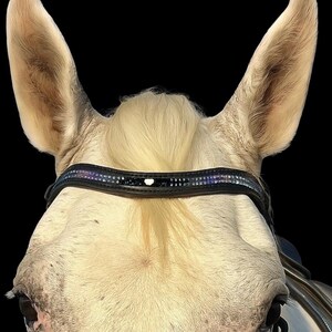 CUSTOM Beaded browband, choose leather color, bead color, size, etc!