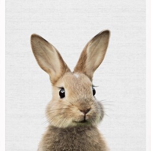 Bunny Print, Woodlands Animal, Bunny Wall Art, Rabbit Print, Nursery Printable Art, Nursery Animals Wall Art Print, Farm Animals