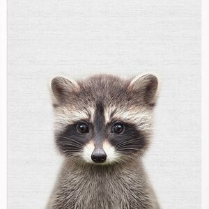 Raccoon print,Woodland animals print,PRINTABLE art,Forest animal print,Animal art,Baby animals printable,Woodland baby shower,Nursery Decor