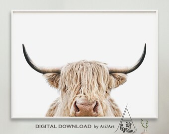 Highland Cow Print,Farmhouse Decor,Cow Poster,Farm Animal Wall Art,Printable wall art,Rustic Decor,Digital Download,Printable farm animal