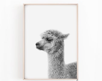 Llama print,Alpaca Print,PRINTABLE ART,Black and white wall art,Nursery decor,Printable Wall Art,Nursery Animal Print,Digital Download