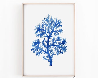 Sea Coral print,Sea Life Art Print, Coral Art Print , Blue Coral Print ,Seaweed Print, Marine Life Print,Beach Decor, watercolor Coral art