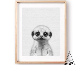 Meerkat Print,Nursery Wall Art,Safari Animals print,Nursery Decor,Printable wall Art,Instant Download,Safari Nursery,Large Kids Room Poster