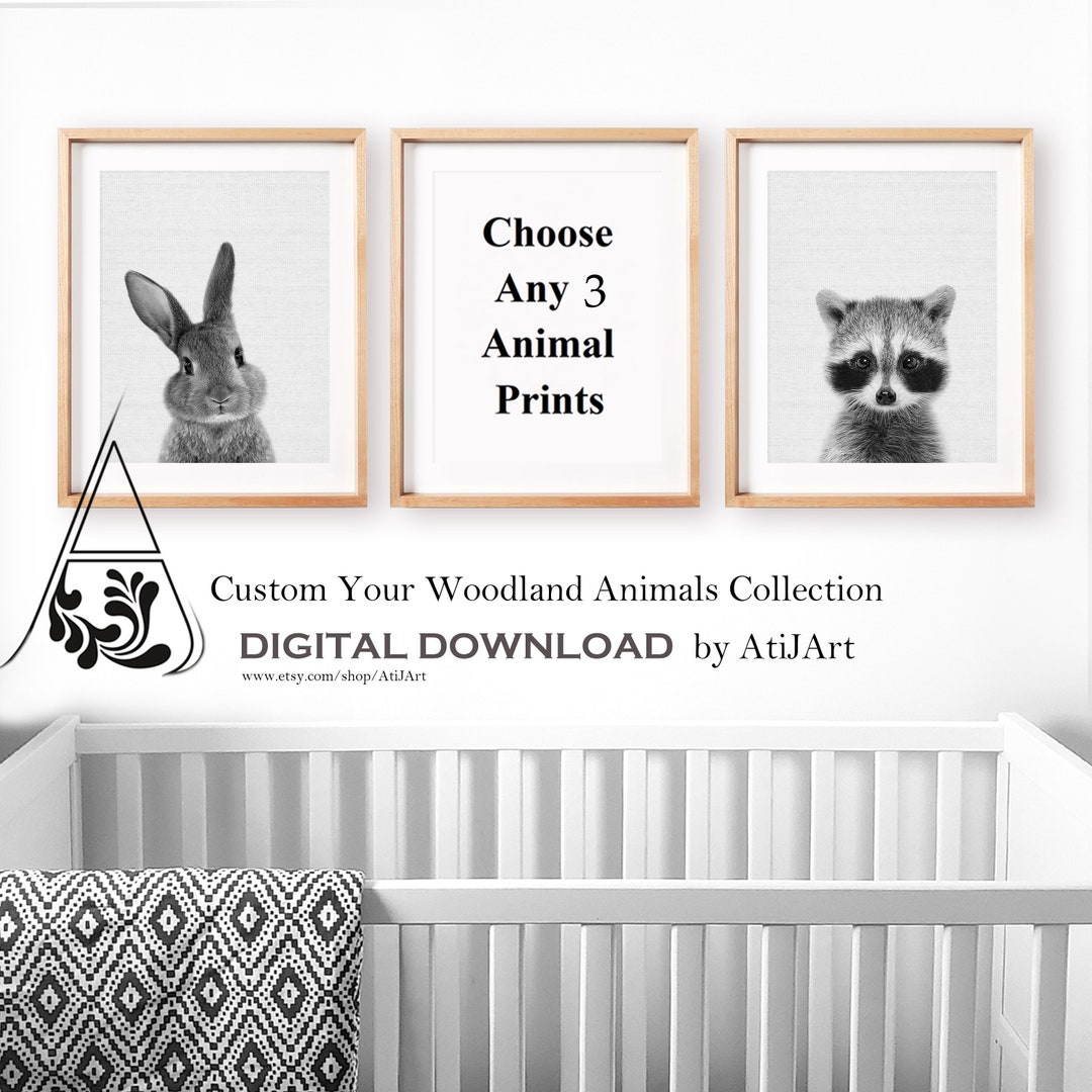 Nursery Decor Set of 3 Kids Room Wall Art Woodlands Nursery - Etsy