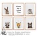 woodland nursery, animals print set, Baby Animal Wall Art, Nursery Animals print, Peekaboo Animals prints,Printable nursery decor ,baby room 