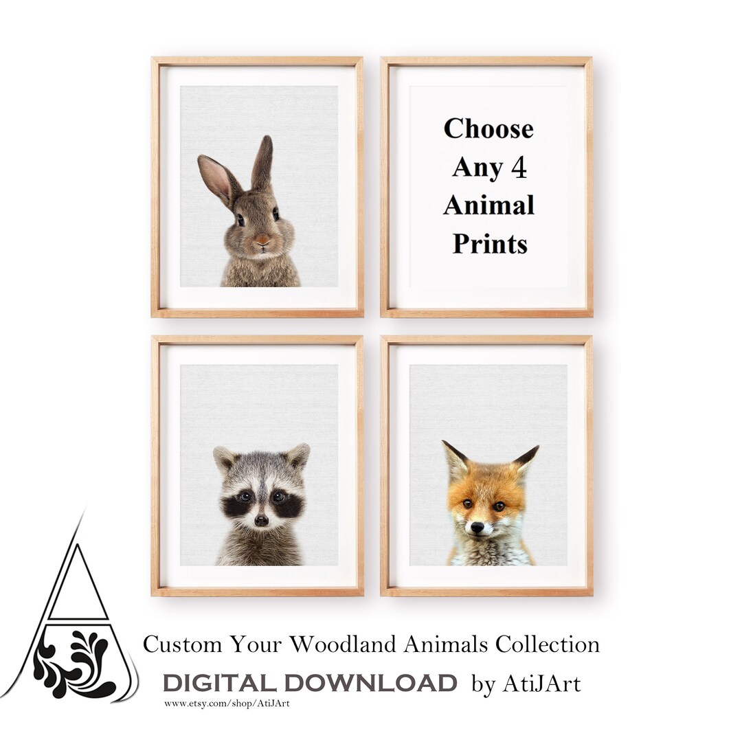 Woodland Animals Nursery Art Print Set of 4 (digital Download) - Etsy