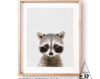 Baby raccoon Print,Woodlands wall art,Nursery Decor,Kids Room decor,Raccoon wall art,Raccoon Printable ,baby animal print,Nursery wall art