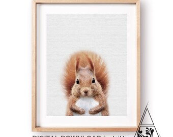 Squirrel Print,Woodlands animal print,Forest Animal print,Nursery Decor,Red squirrel print,PRINTABLE art,Woodland nursery,Nursery wall art