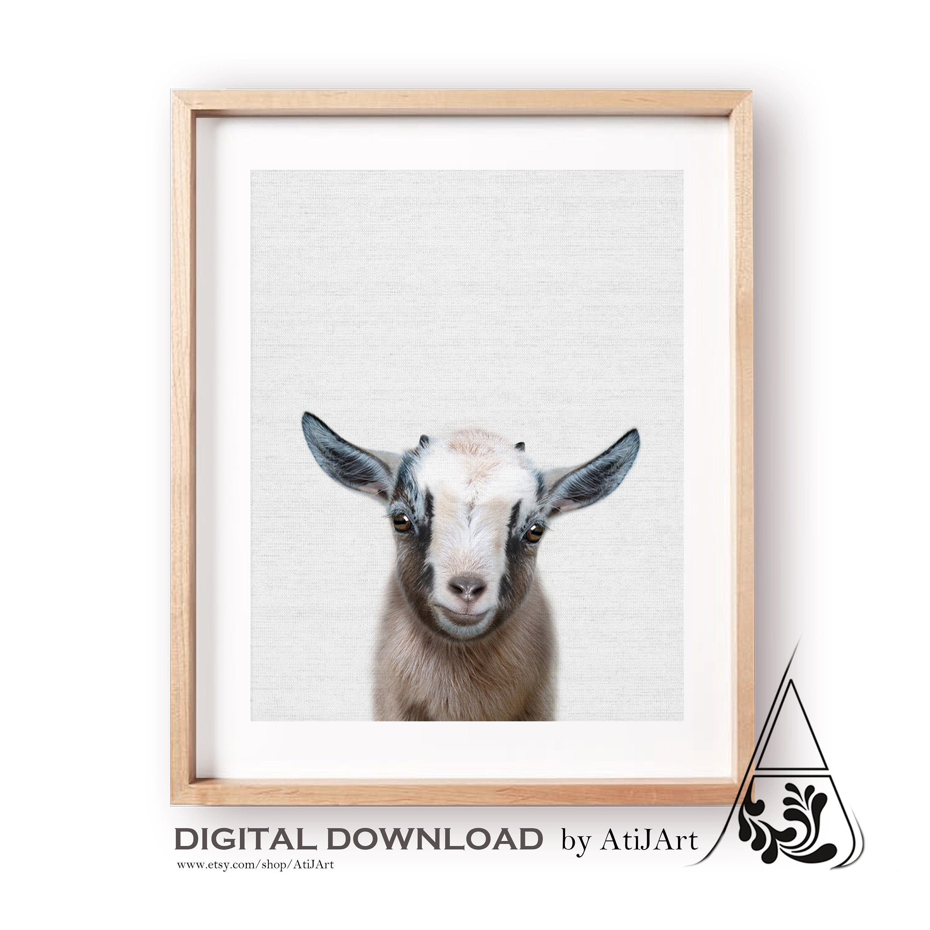 Was Heißt Goat Auf Deutsch