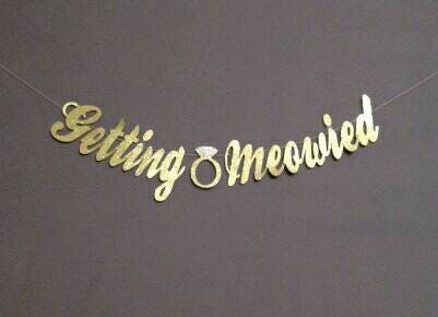 Im Getting Meowy Meowied, Bride to be Engagement Wedding Banner, Enga…