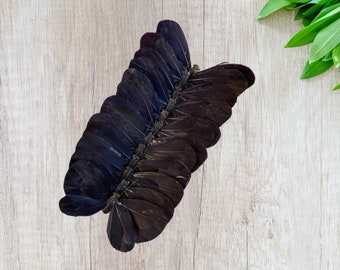 12 Large Black Feather Butterflies 5inch- Black butterflies- Halloween butterfly- scrapbooking- DIY hair- Cake topper #5711