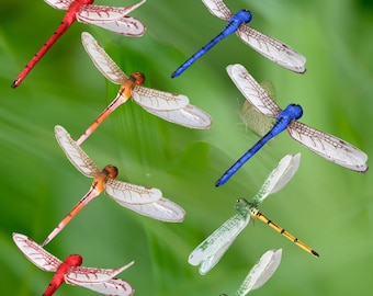 Realistic Artificial Dragonfly 5” 12pk- faux dragonfly with wire floral picks dragonfly garden decoration.