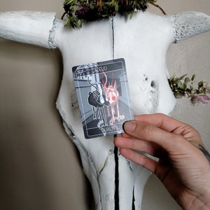 May include: A black and white tarot card with a red and white illustration of two animals. The card is labeled "Cadelio" and "Duality". The card is held in front of a white animal skull with a wreath of dried flowers.