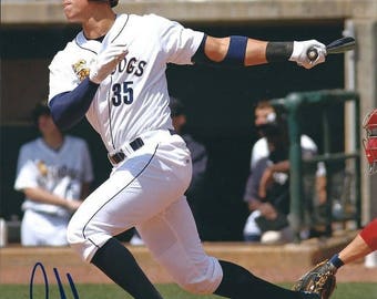 May include: A baseball player wearing a white uniform with blue and gold trim, a blue baseball cap, and black socks, swings a bat. The player's jersey has the number 35 and the word "DOGS" on it. The player is on a baseball field with a green outfield and a brown infield.