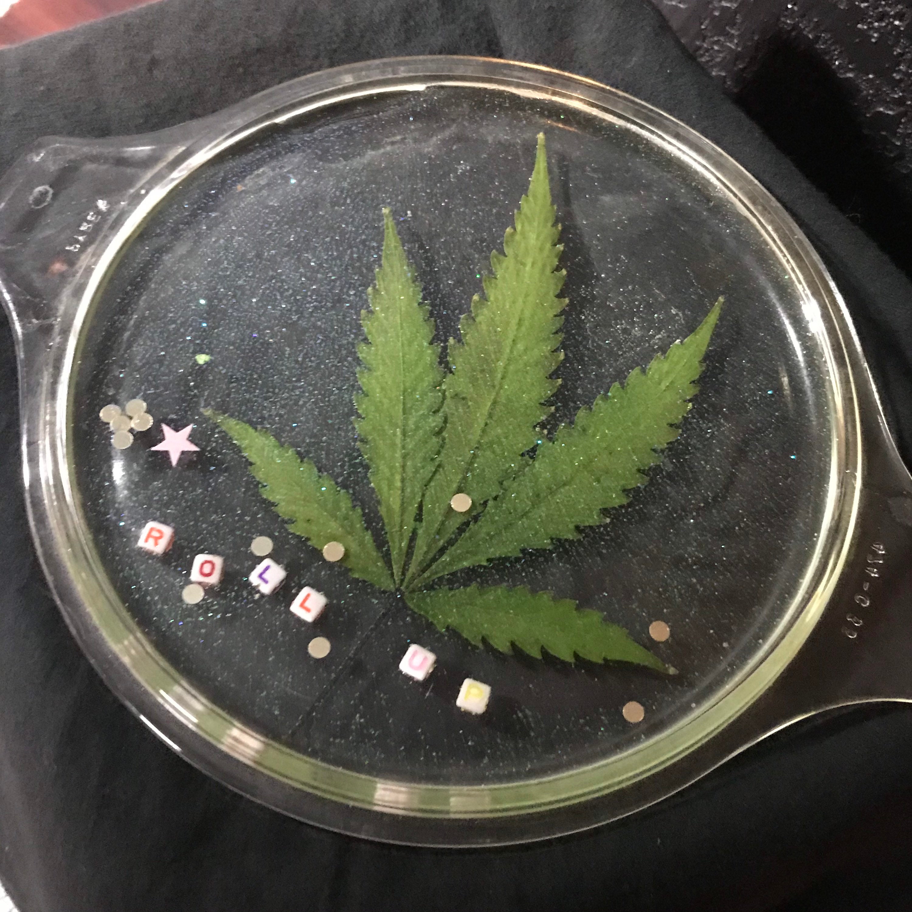 REAL Authentic Marijuana Leaf Plate Etsy