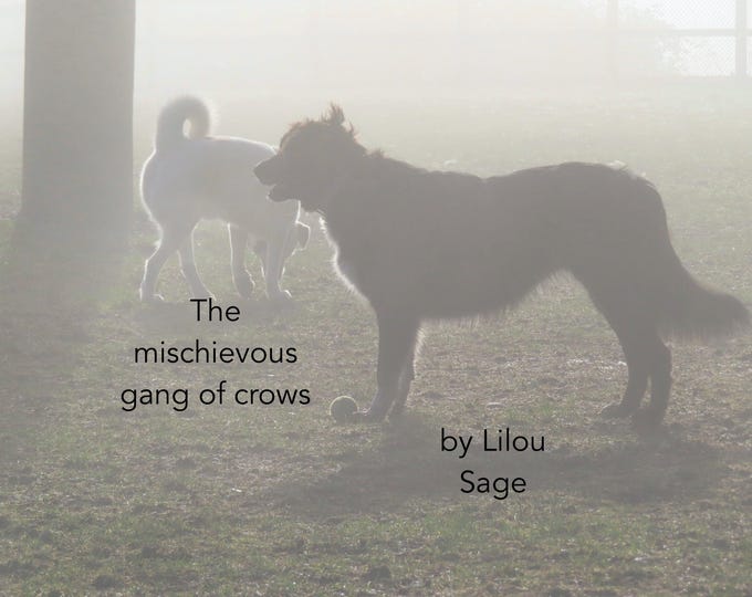 The mischievous gang of crows by Lilou Sage  (PRINT BOOK 2026)