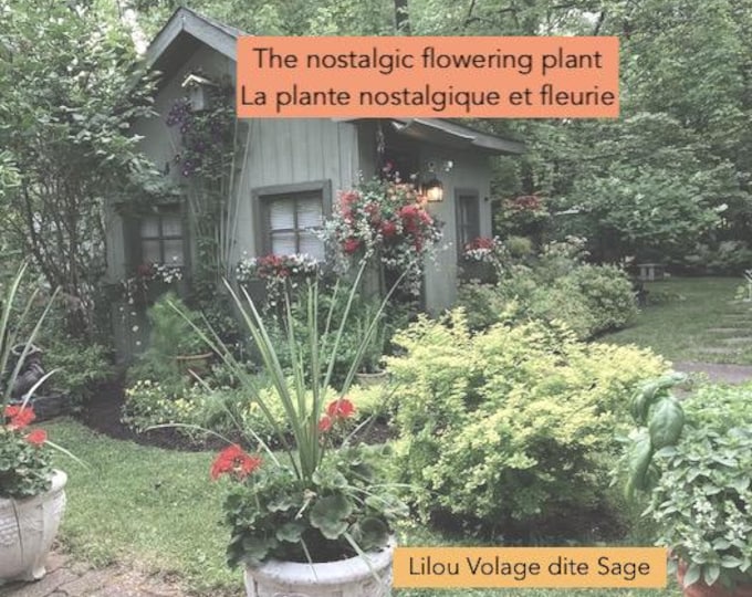 La plante nostalgique et fleurie ou The nostalgic flowering plant by Lilou Sage (PRINT BOOK 2026)