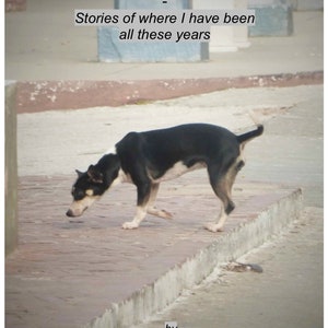 Traveling from sky to earth: Stories of where I have been all these years By Lilou (PRINT BOOK 2023)