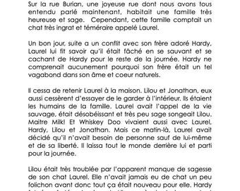 Le chat pas sage par Lilou  (PRINT BOOK 2025)