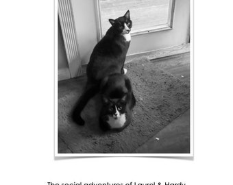 The social adventures of Laurel & Hardy, the cats by Lilou Sage (PRINT CARD 2024)