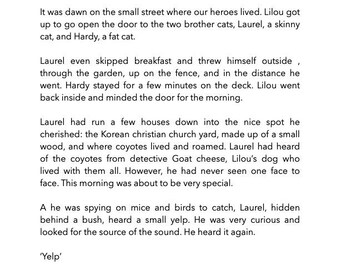 Bilingual story about cats and coyotes friendship by Lilou