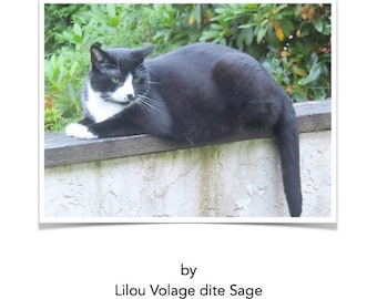 The fat cat by Lilou Volage dite Sage (PRINT BOOK 2025)