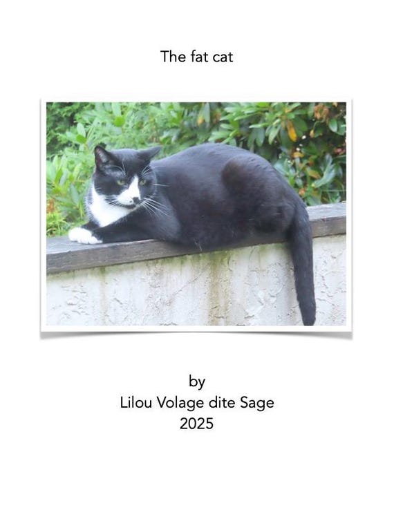 The fat cat by Lilou Volage dite Sage (DIGITAL 2025)