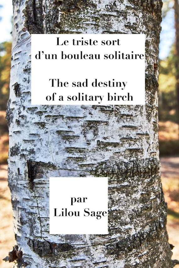 Bilingual story about an angry birch tree by Lilou Sage (PRINT BOOK 2025 DECEMBER)
