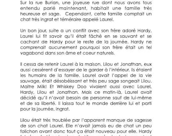 Le chat pas sage par Lilou AND The foolish cat  (DIGITAL BILINGUAL 2025)