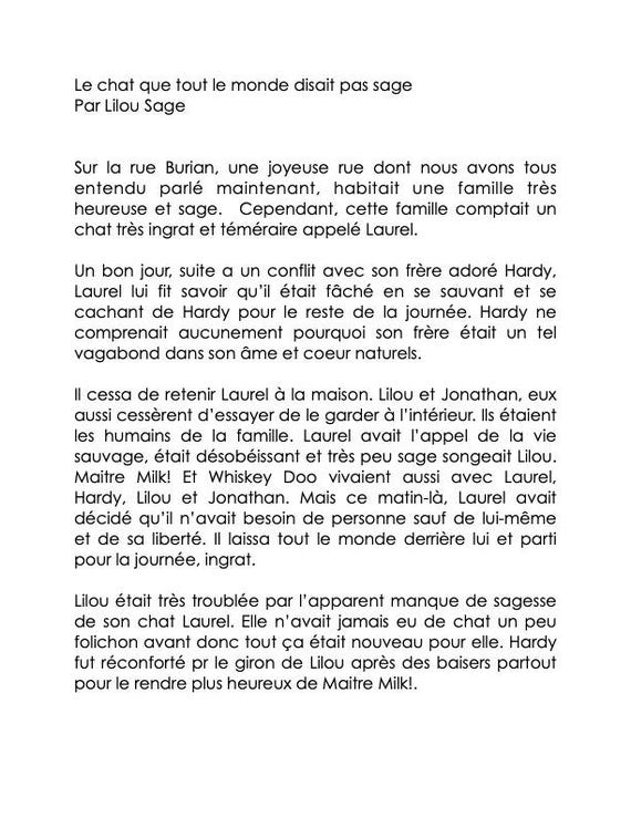 Le chat pas sage par Lilou AND The foolish cat  (DIGITAL BILINGUAL 2025)