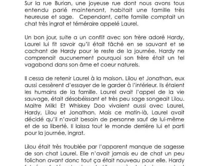 Le chat pas sage par Lilou AND The foolish cat  (DIGITAL BILINGUAL 2025)
