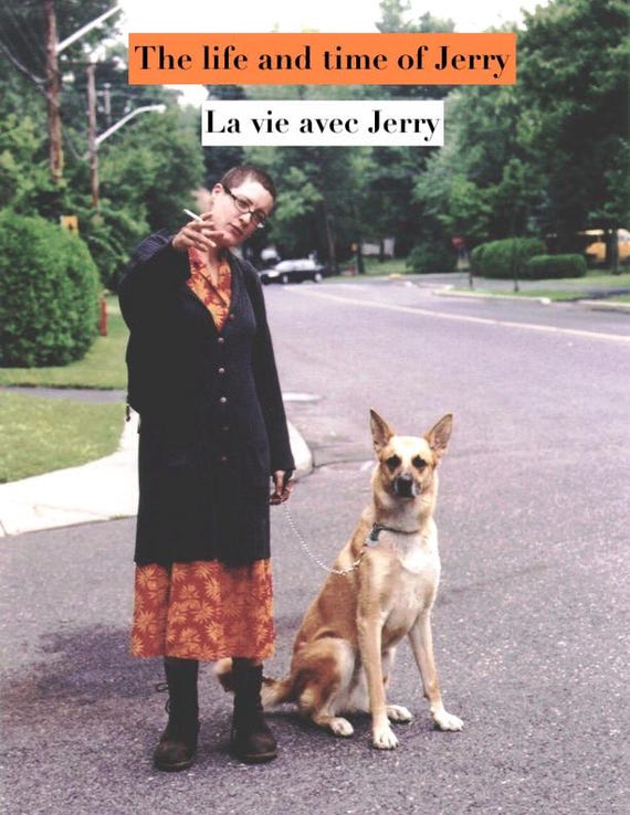The life and time of Jerry ou La vie avec Jerry by Lilou Sage (bilingual PRINT BOOK 2026)