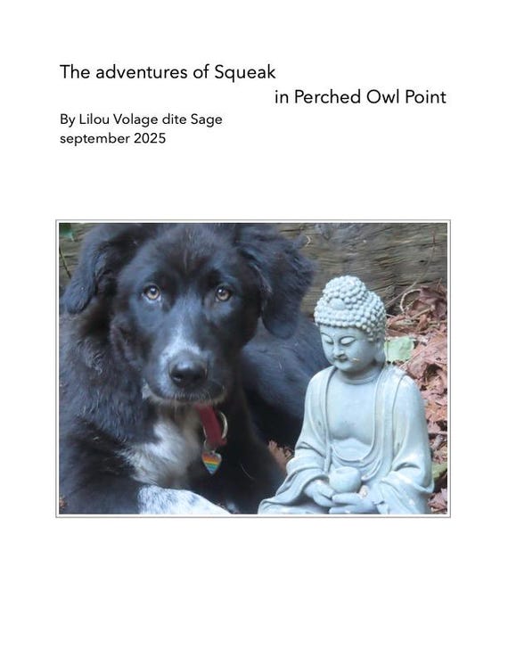The adventures of Squeak in Perched Owl Point by Lilou (DIGITAL sept 2025)