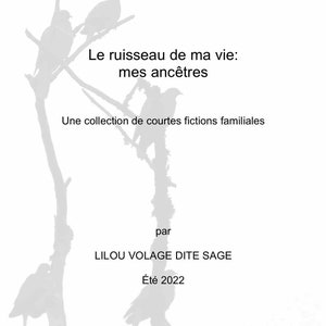 Le ruisseau de ma vie: mes ancêtres (une collection de courtes fictions familiales) (PRINT BOOK 2024)
