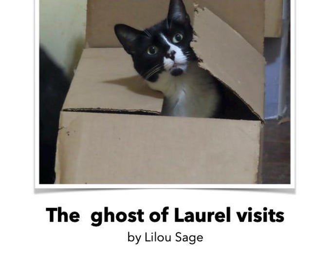 Featured listing image: The ghost of Laurel visits by Lilou Sage (DIGITAL march 2026)