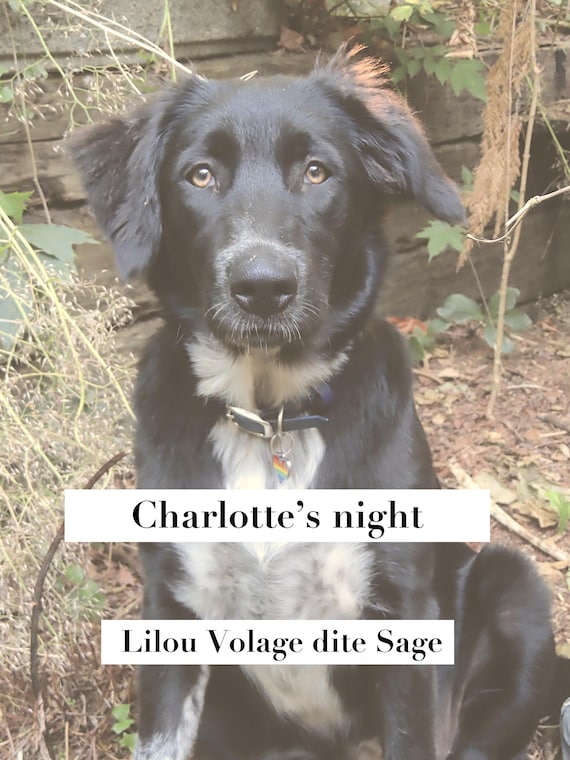 Charlotte's night by Lilou Volage dite Sage (DIGITAL 2025)