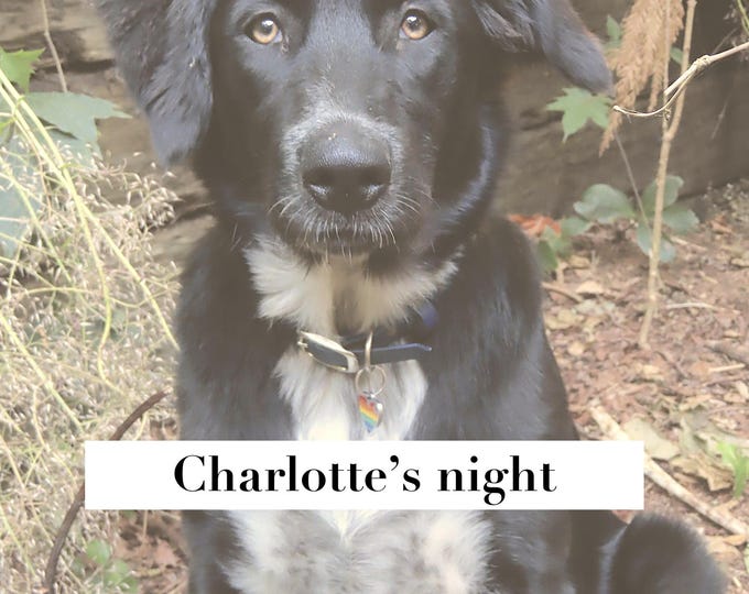 Charlotte's night by Lilou Volage dite Sage (DIGITAL 2025)